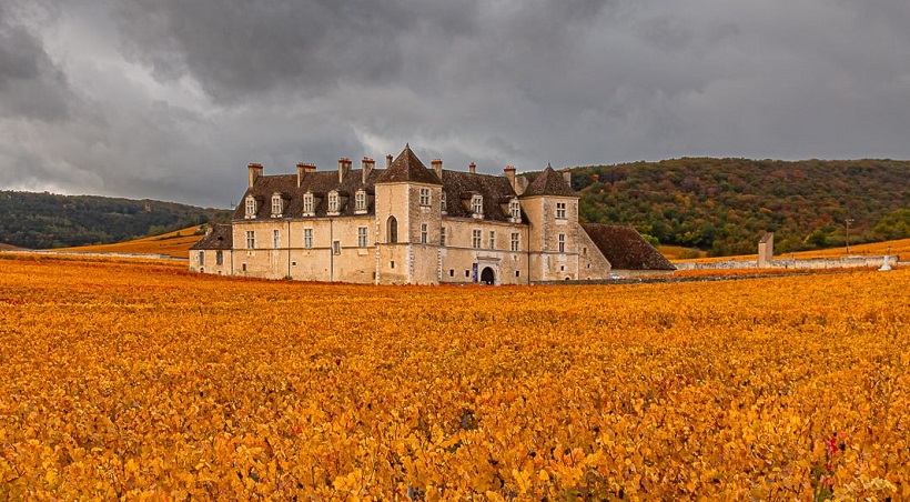 Clos de Vougeot